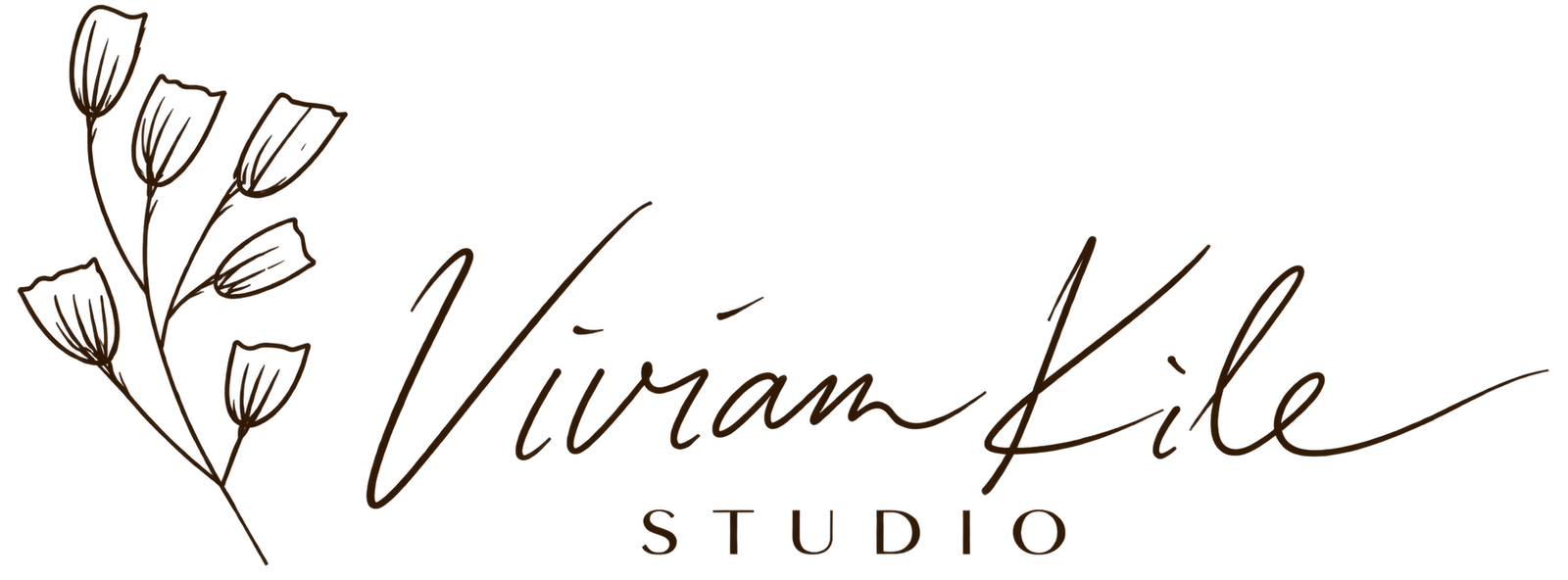 Vivian Kile Studios